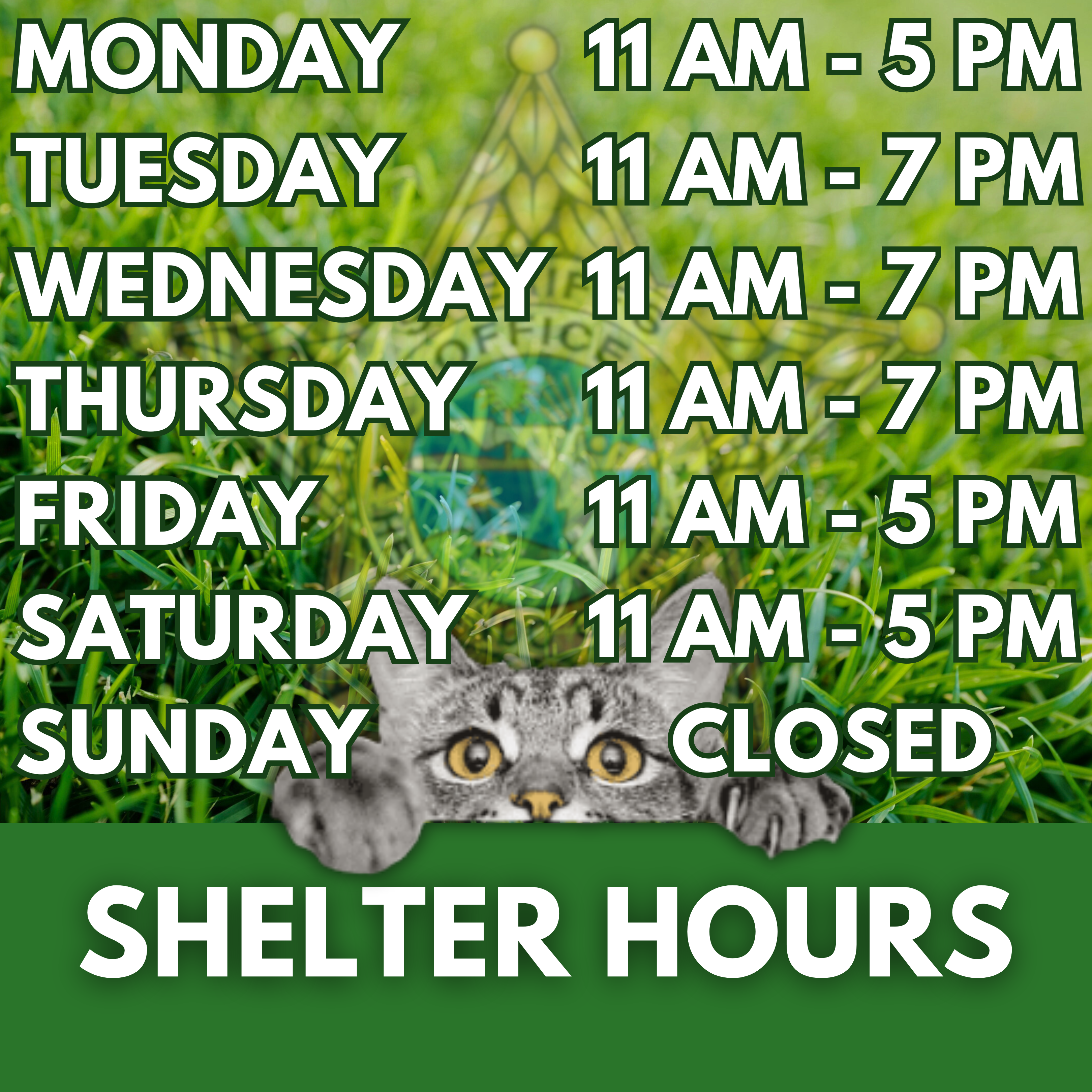 Shelter hours